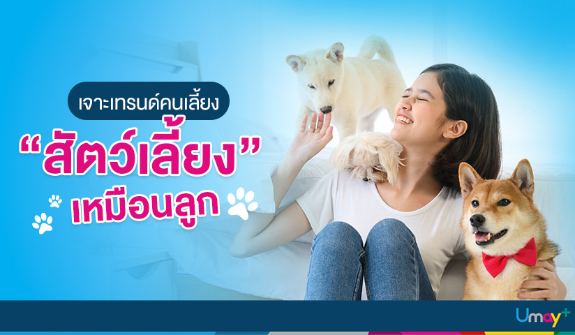 เทรนด์มีสัตว์เลี้ยงของคนยุคใหม่