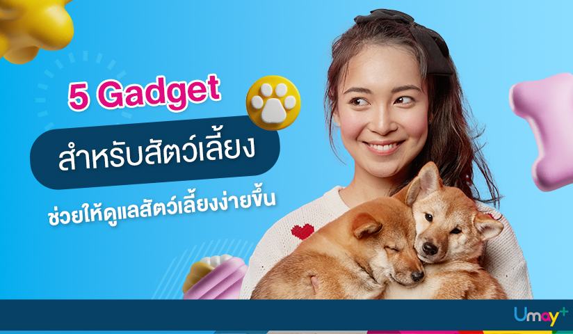 5 Gadget สำหรับสัตว์เลี้ยง ช่วยให้ดูแลสัตว์เล