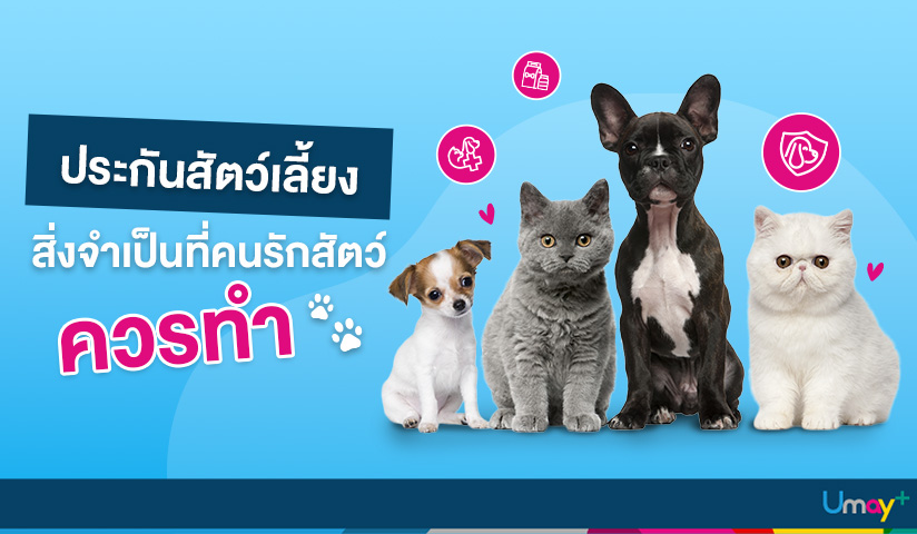 ประกันสัตว์เลี้ยง